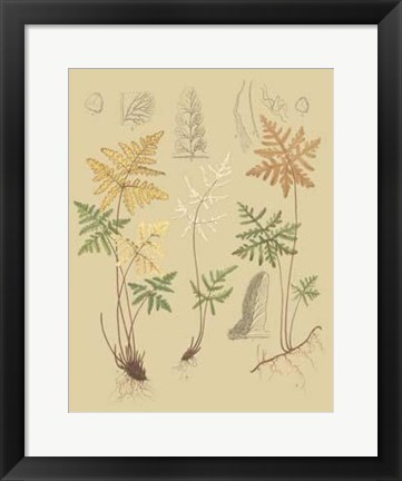 Framed Nature&#39;s Lace I Print