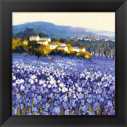 Framed Champs D&#39;iris, Provence Print