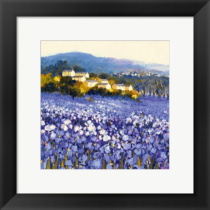 Framed Champs D&#39;iris, Provence Print