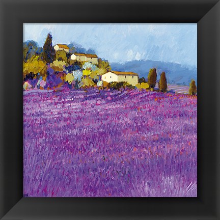 Framed Wild Lavender, Provence Print