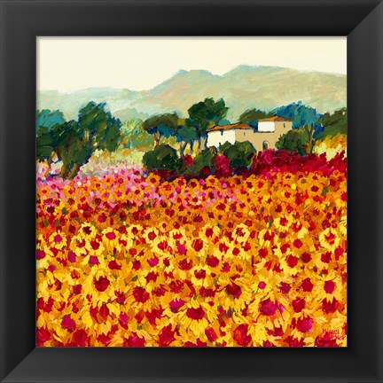 Framed Sunflower Sunset, Tuscany Print