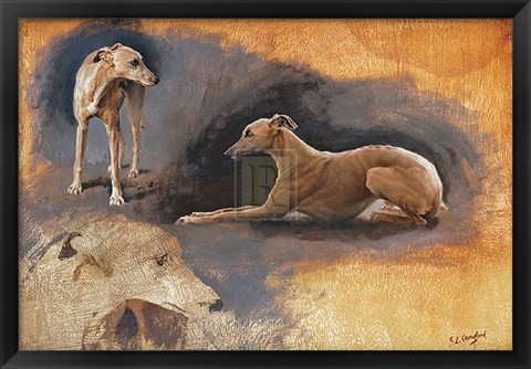 Framed Whippets Study Print