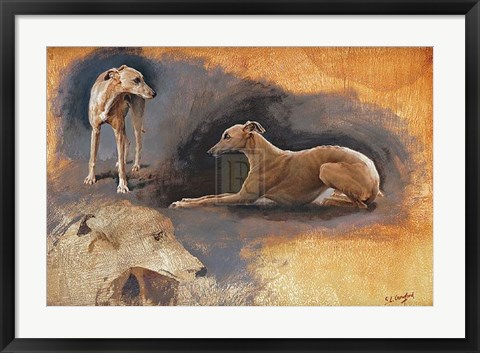 Framed Whippets Study Print