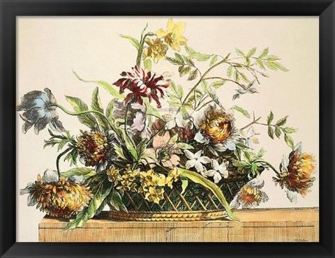 Framed Basket of Flowers II Print