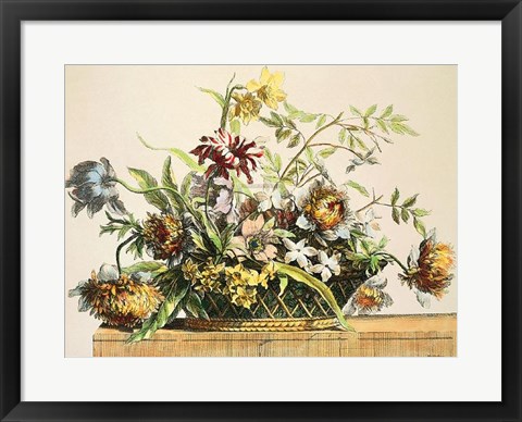 Framed Basket of Flowers II Print