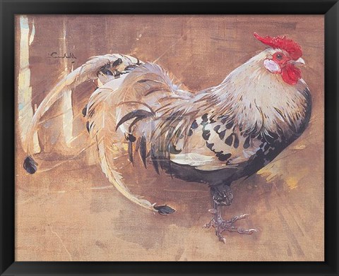 Framed Spangled Cock Print