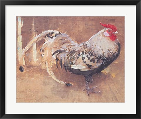 Framed Spangled Cock Print