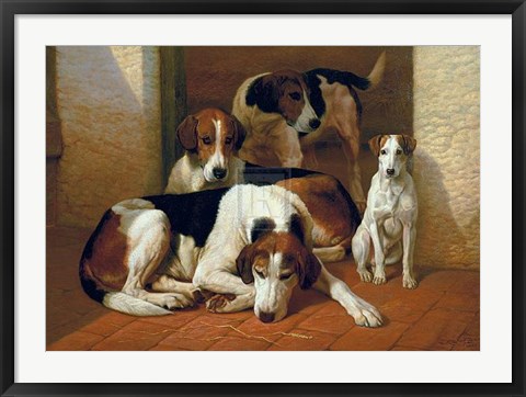 Framed Foxhounds and a Terrier Print