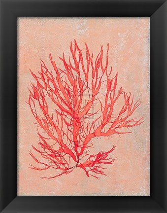 Framed Coral Island II Print