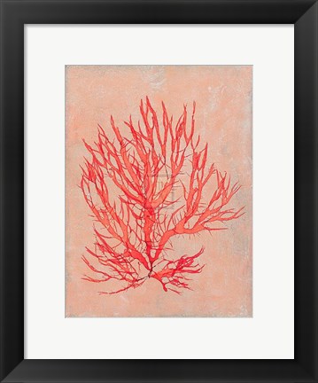 Framed Coral Island II Print