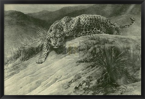 Framed Leopard Print