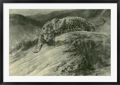 Framed Leopard Print