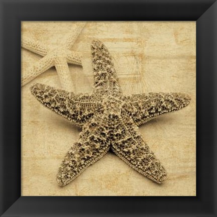 Framed Starfish Print