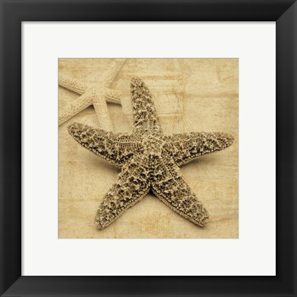 Framed Starfish Print