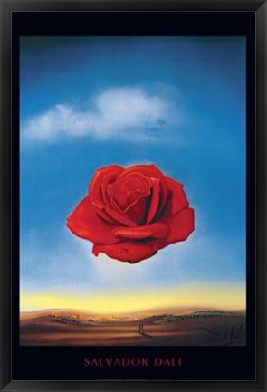 Framed Meditative Rose, c.1958 Print