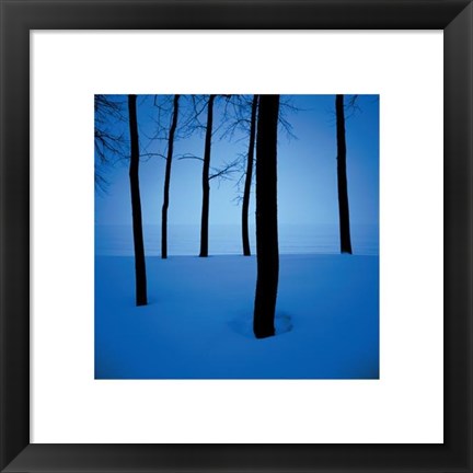 Framed Trees In Snow Print