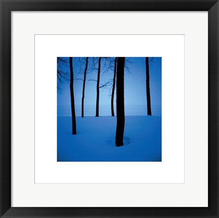 Framed Trees In Snow Print