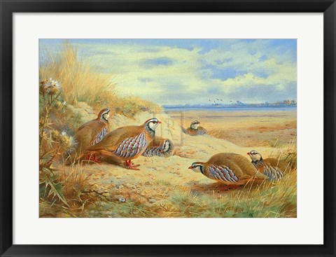 Framed French Partridges Print