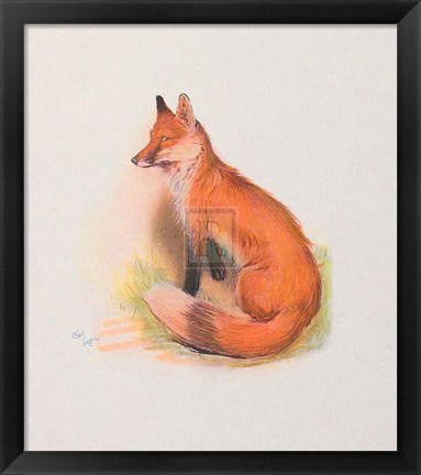 Framed Fox Print