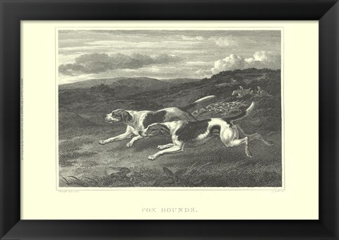 Framed Foxhounds Print