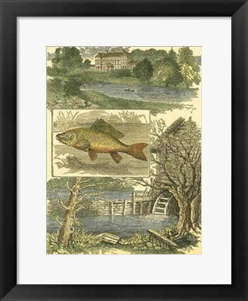 Framed Fisherman&#39;s Vignette II Print