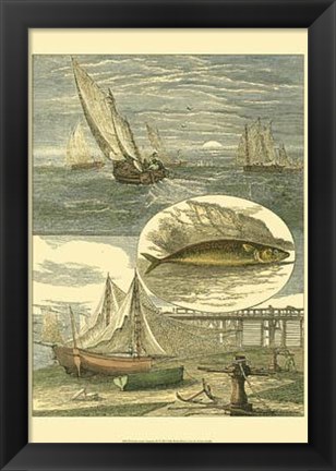 Framed Fisherman&#39;s Vignette IV Print