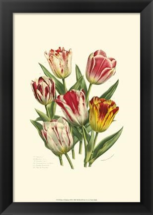 Framed Burst Of Spring I Print