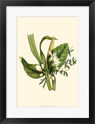 Framed Balmy Reed Branch Print