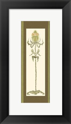 Framed Bristling Stems II Print