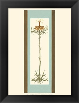 Framed Bristling Stems III Print