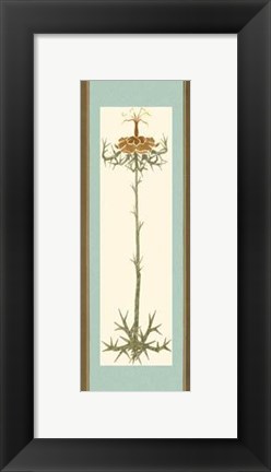 Framed Bristling Stems III Print