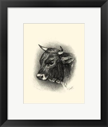 Framed Antique Cattle IV Print