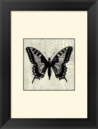 Framed Classical Butterfly I Print