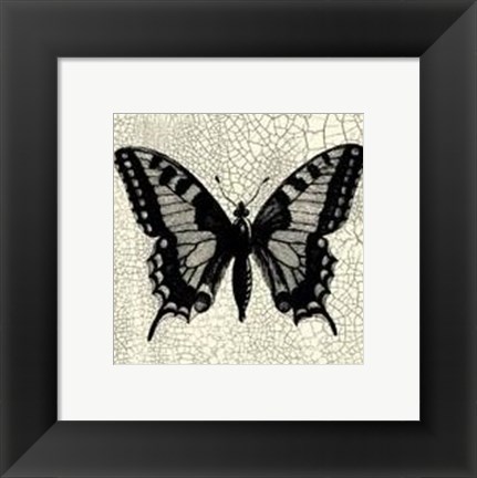 Framed Classical Butterfly I Print