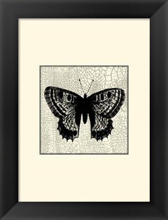 Framed Classical Butterfly II Print