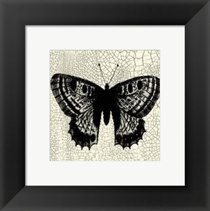 Framed Classical Butterfly II Print