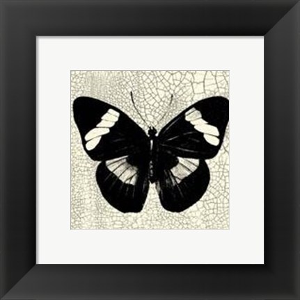 Framed Classical Butterfly III Print