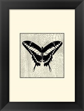 Framed Classical Butterfly IV Print