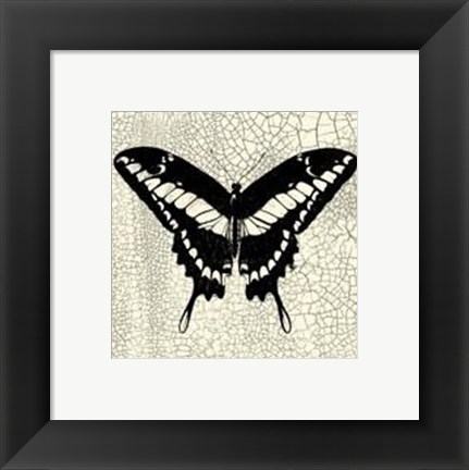 Framed Classical Butterfly IV Print