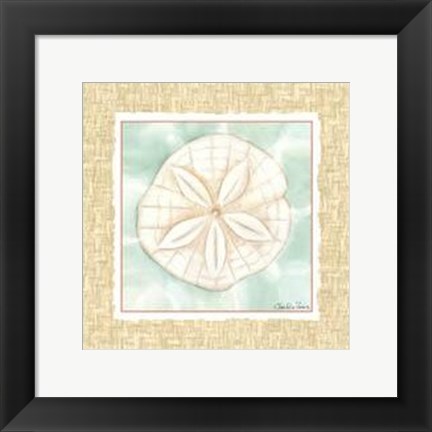 Framed Ocean Sanddollar Print