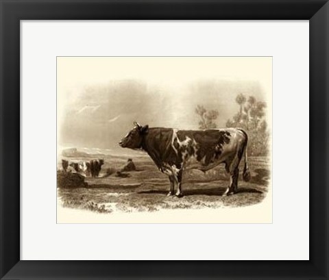 Framed Bovine III Print