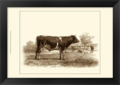 Framed Bovine IV Print