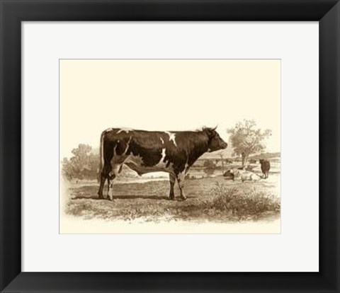 Framed Bovine IV Print