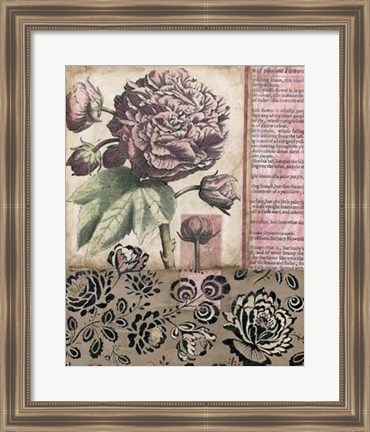 Framed Cottage Rose I Print