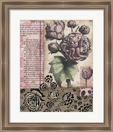 Framed Cottage Rose II Print