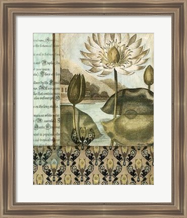 Framed Elegant Water Lily I Print