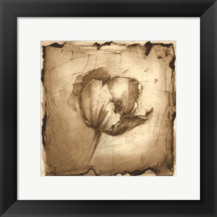 Framed Floral Impression IV Print