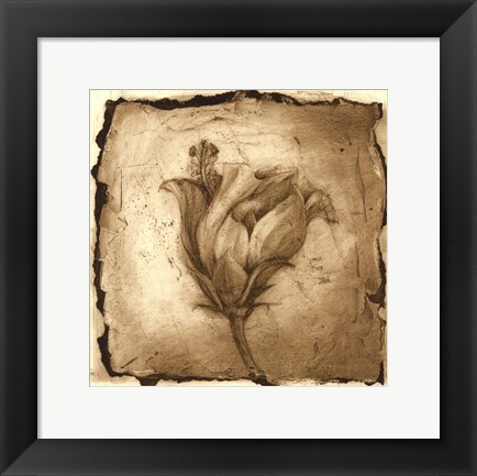 Framed Floral Impression VIII Print