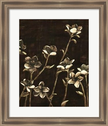 Framed Blossom Nocturne II Print