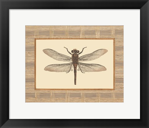 Framed Delicate Dancer I Print